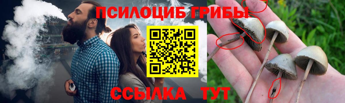 Кинель  Галлюциногенные грибы ЛСД  Вход с VPN 